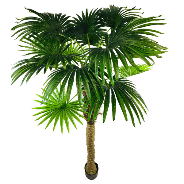 The Seasonal Aisle Artificial Floor Palm Tree in Pot Wayfair.co.uk